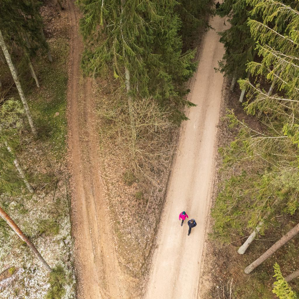 Kazlų Rūdos miškų kelias (10 km)